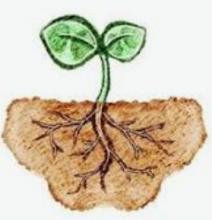 画像(212x220)・拡大画像(279x289)