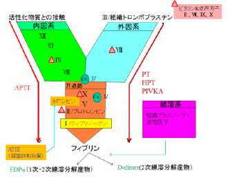 摜(330x261)Eg摜(640x508)