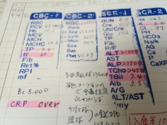 摜(330x247)Eg摜(640x480)