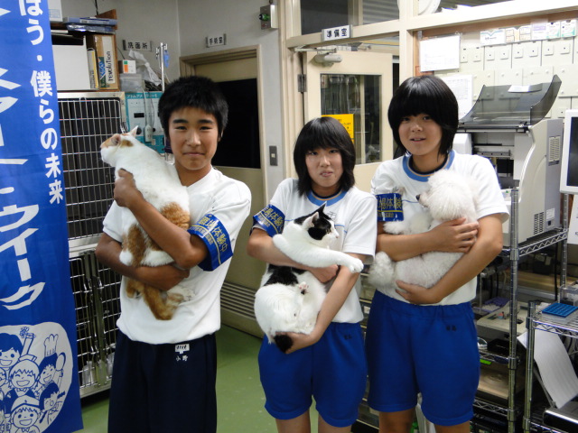 広島県呉市 石崎動物病院 広島県呉市 石崎動物病院