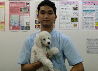 摜(330x240)Eg摜(445x324)