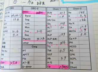 摜(330x242)Eg摜(584x429)