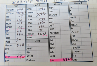 摜(330x226)Eg摜(619x425)