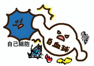 摜(330x233)Eg摜(608x430)