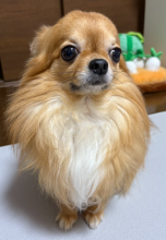 摜(152x220)Eg摜(278x400)