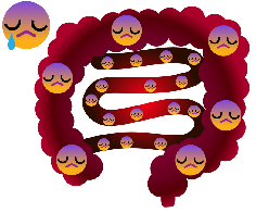 摜(236x196)