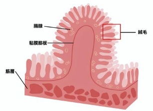 画像(307x224)
