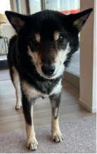 �摜(138x220)�E�g��摜(194x309)