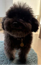 �摜(138x220)�E�g��摜(198x314)